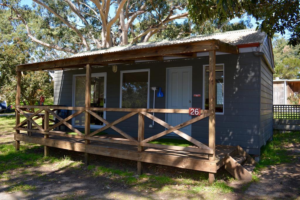 Bimbi Park - Under Koalas
