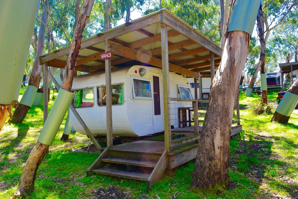 Bimbi Park - Under Koalas Holiday park 2*