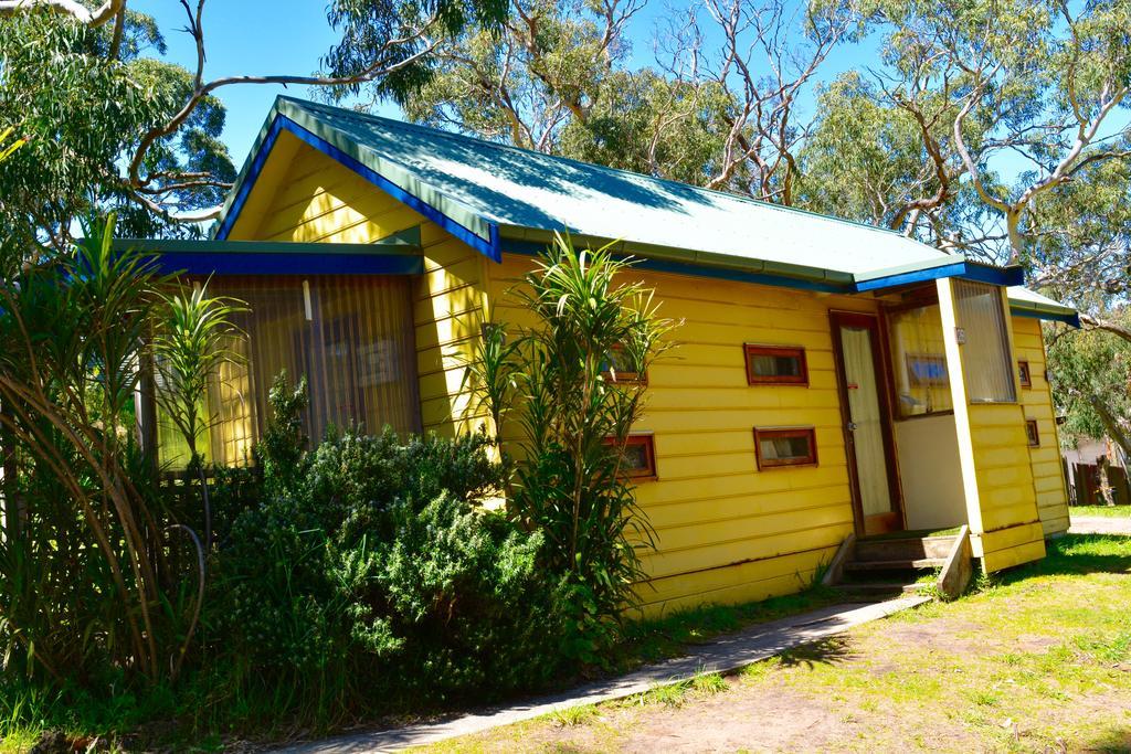 Holiday park Bimbi Park - Under Koalas