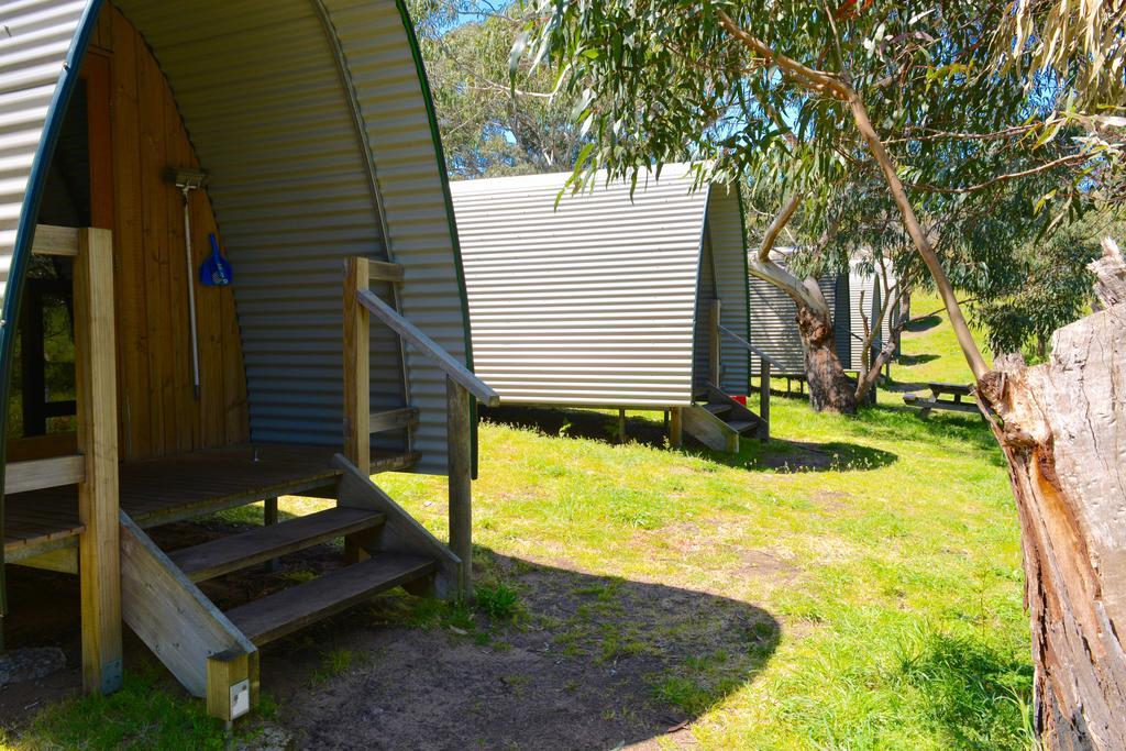 Bimbi Park - Under Koalas Holiday park Cape Otway