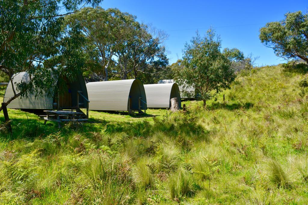 Holiday park Bimbi Park - Under Koalas Cape Otway
